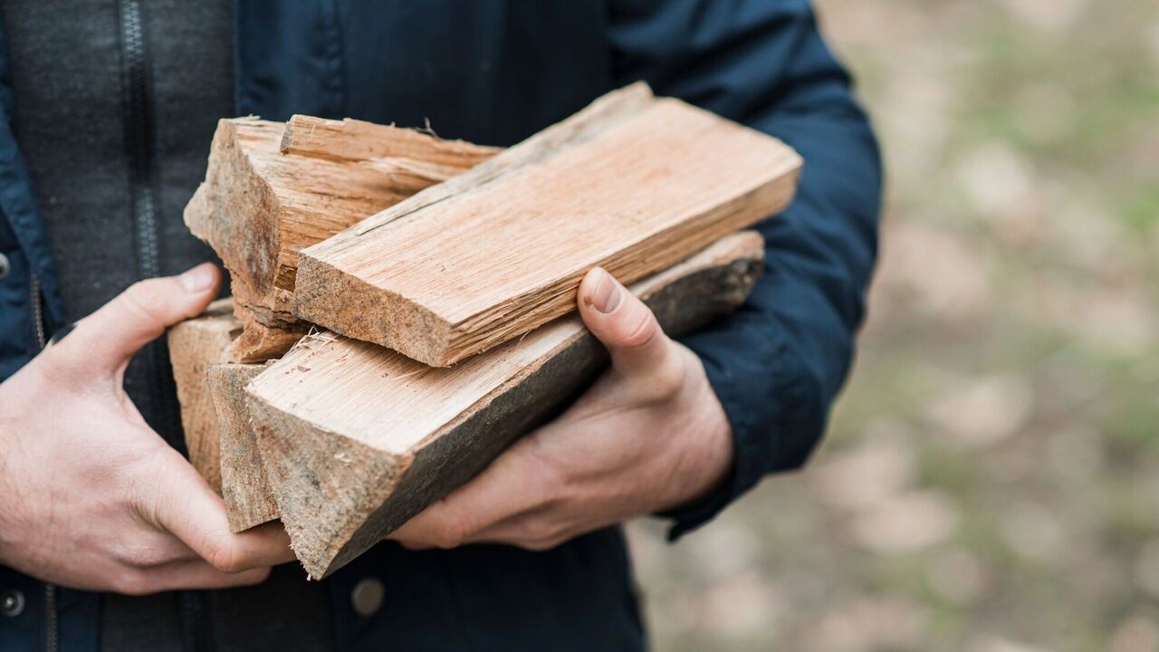 Дрова та газ від держави: як українцям отримати до 9 205 грн на опалення у 2026 році