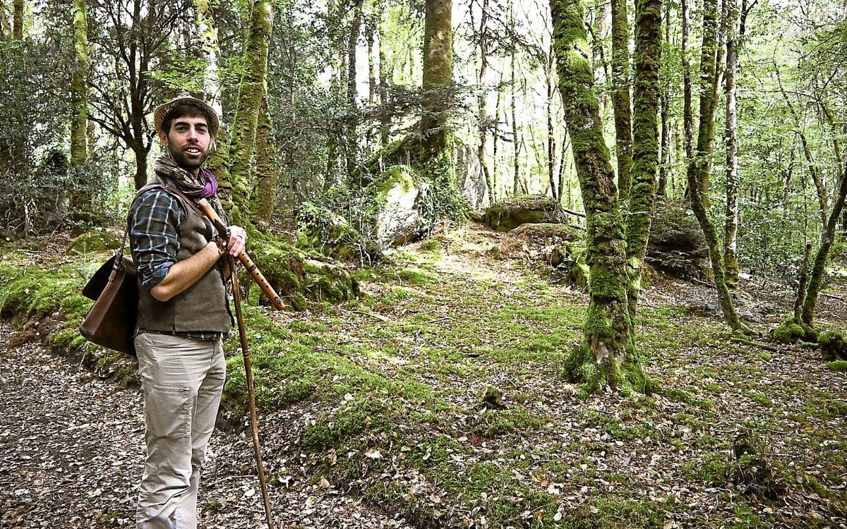 Le Bois de la Roche, une parenthèse enchantée au cœur du Finistère