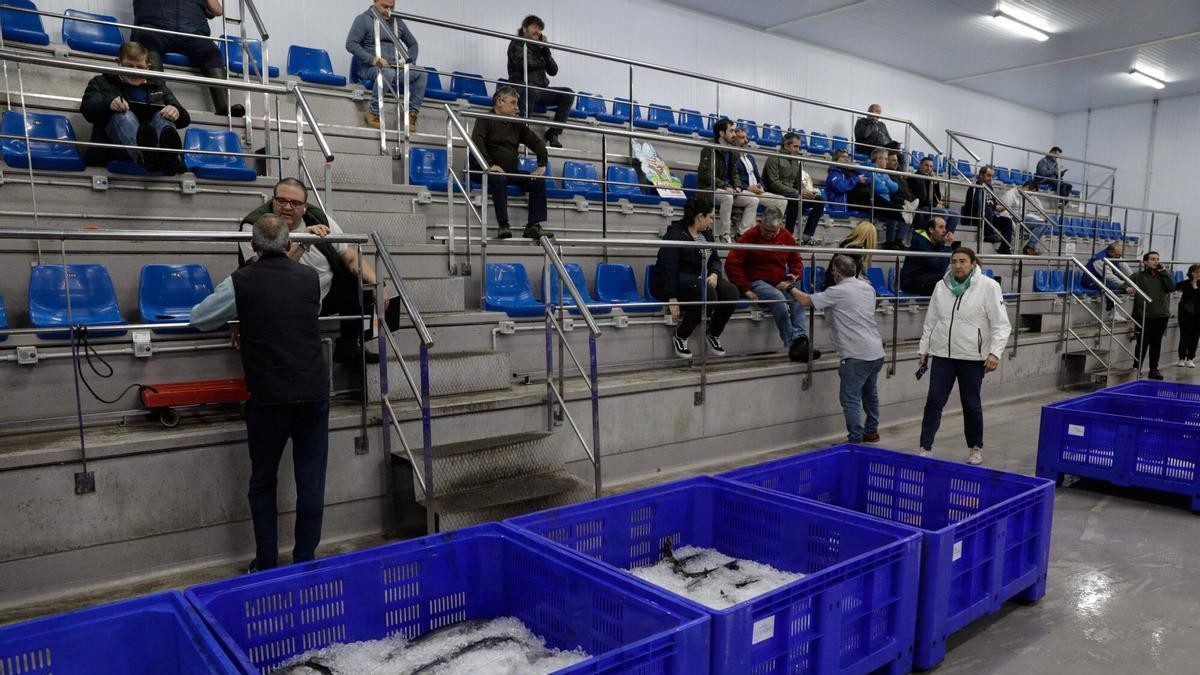 La lonja de Gijón copa más de la mitad de las ventas del pescado asturiano: un triunfo del trabajo colectivo