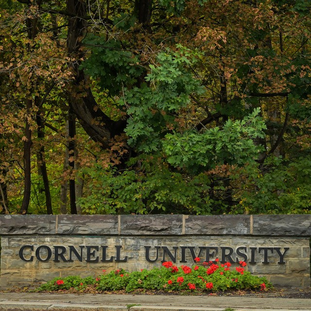 Violences sexuelles aux USA : l'affaire Cornell révèle une Amérique à double visage