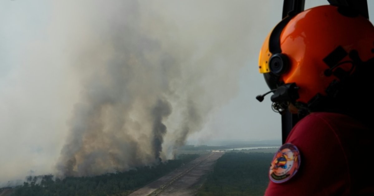 Mégafeu en Gironde : la solidarité tient face aux flammes, un répit attendu