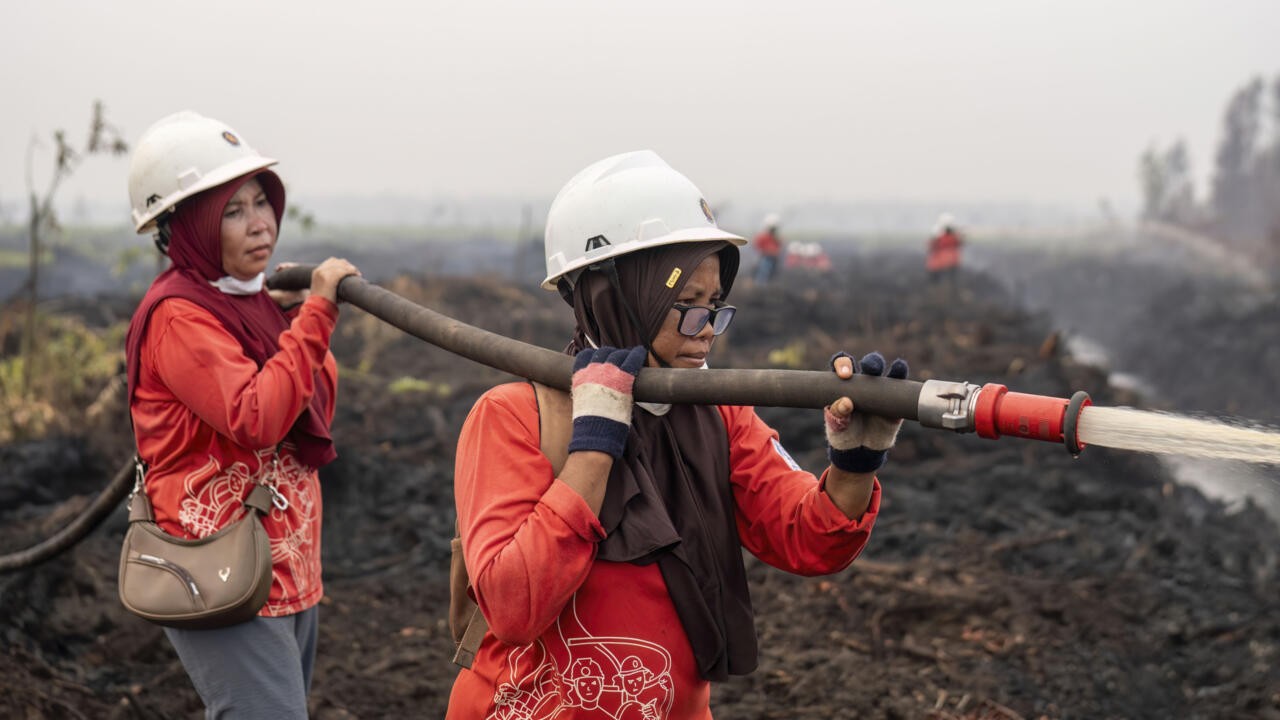 Bornéo : des mères courage contre les flammes et le mépris