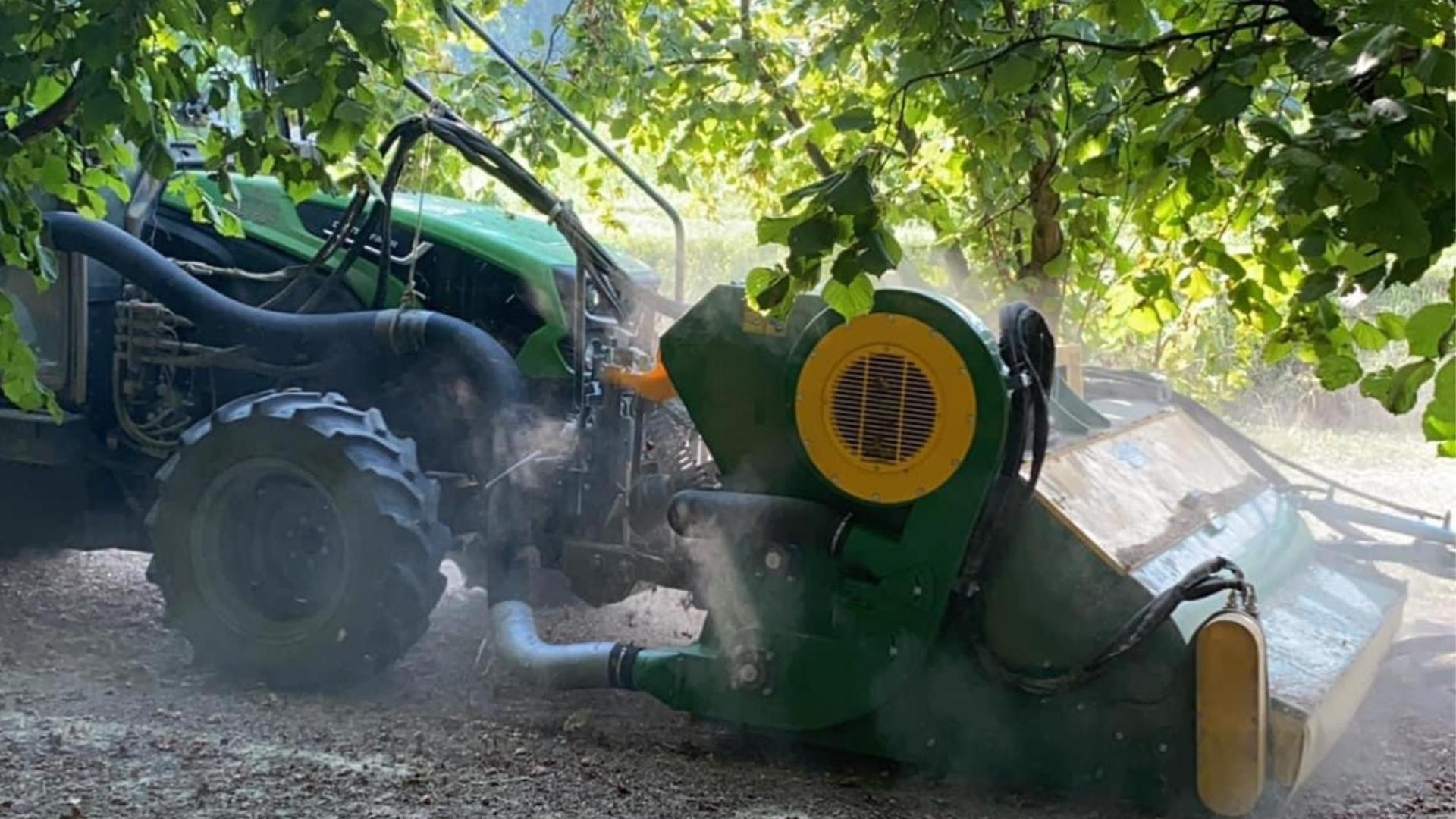 Nocciole in ginocchio: il caldo e la sete dei padroni strangolano i raccolti