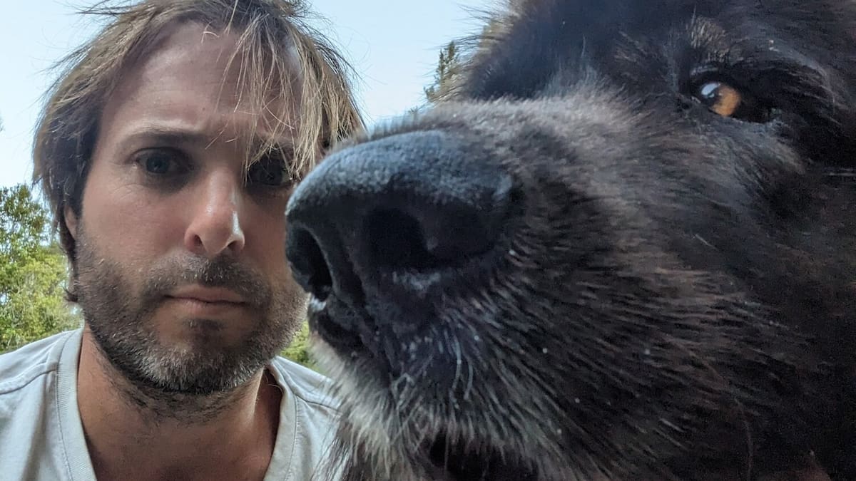 Dog Euthanised Without Owner Consent Sparks Rights Debate