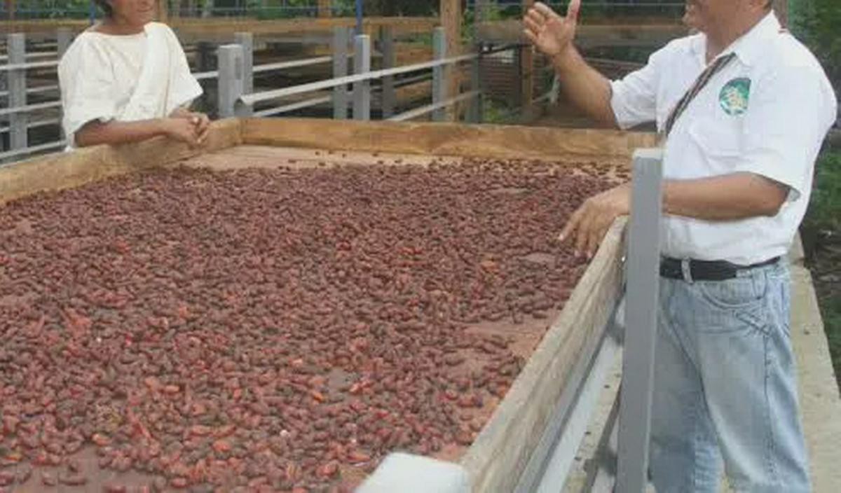 La Guajira: ¿protección o despojo? La polémica decisión del Ministerio de Agricultura
