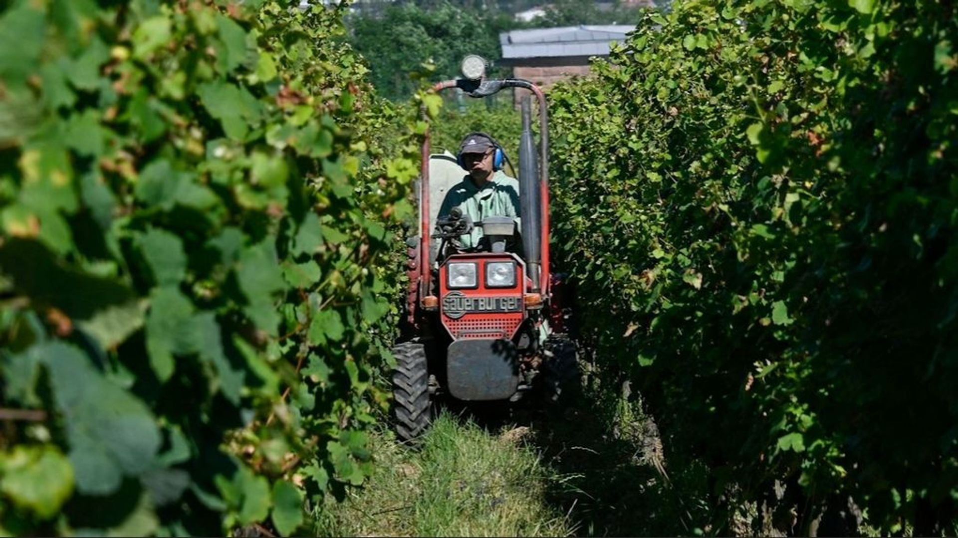 Cuivre agricole : la terre se souvient de tout